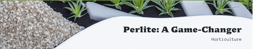 Perlite horti